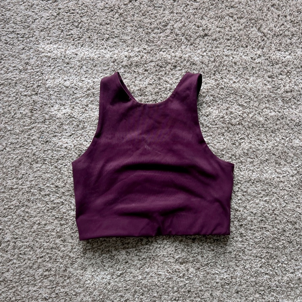 The girlfriend collective plum colored sports bra